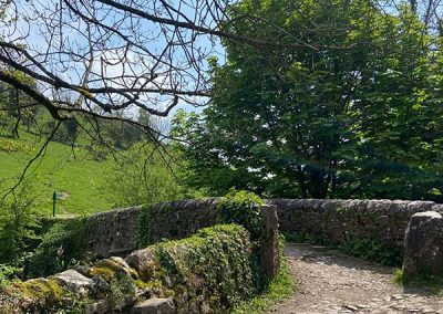 Avator Bridge Milldale Spring