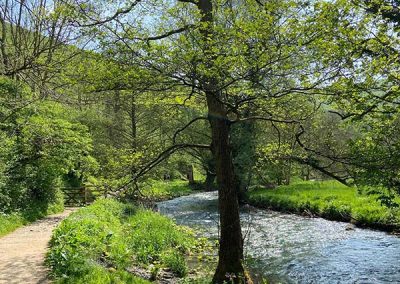 River Dove Spring