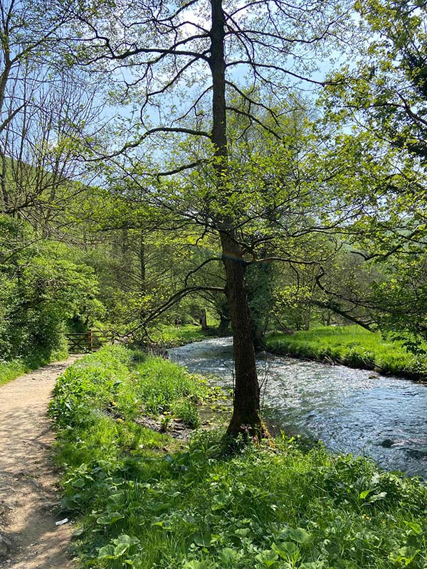 River-Dove-Spring River Dove Spring